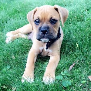 Meet your Posher, Rodolfo